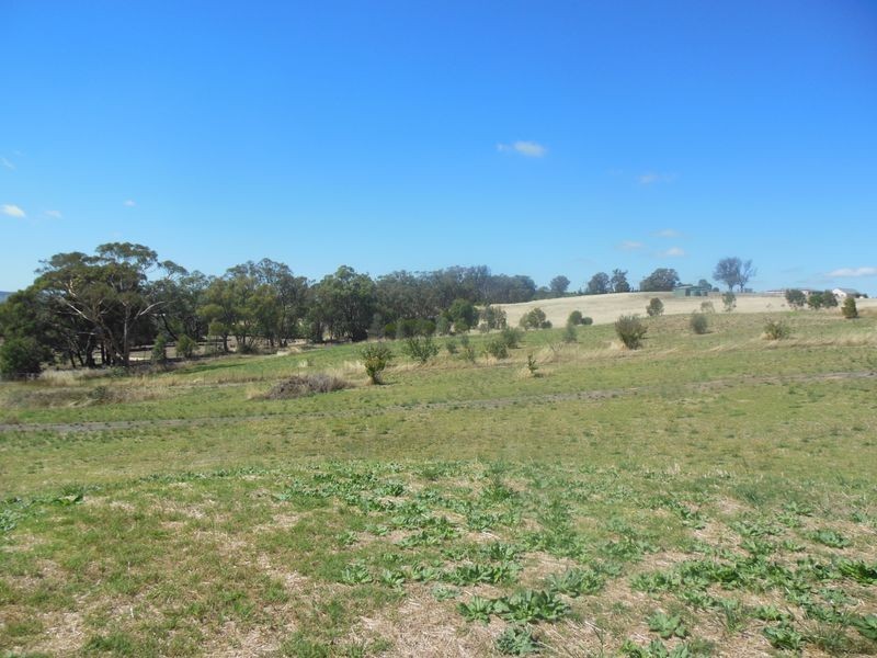 30 Apps Lane, Young NSW 2594