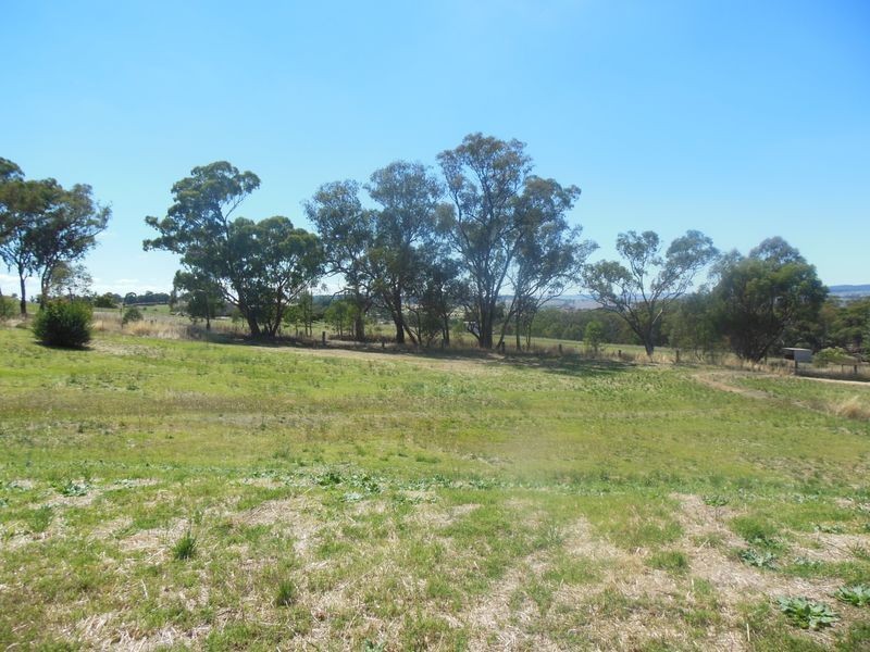 30 Apps Lane, Young NSW 2594