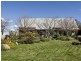 109 Bribbaree Road, Young NSW 2594