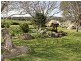 109 Bribbaree Road, Young NSW 2594