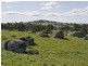 109 Bribbaree Road, Young NSW 2594