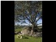 109 Bribbaree Road, Young NSW 2594
