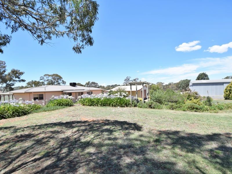 516 Woodlands Rd  Kingsvale, Young NSW 2594