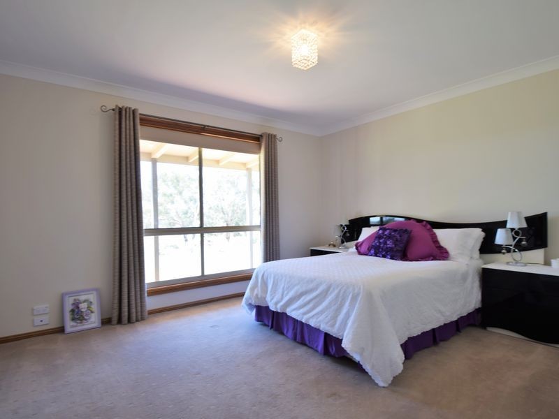516 Woodlands Rd  Kingsvale, Young NSW 2594