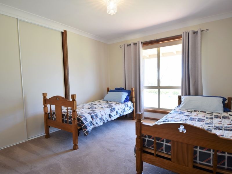 516 Woodlands Rd  Kingsvale, Young NSW 2594