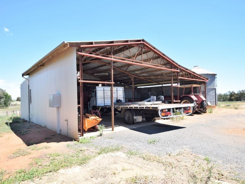 516 Woodlands Rd  Kingsvale, Young NSW 2594