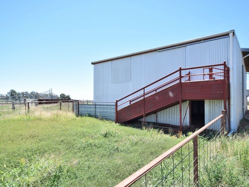 516 Woodlands Rd  Kingsvale, Young NSW 2594