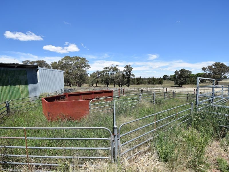 516 Woodlands Rd  Kingsvale, Young NSW 2594