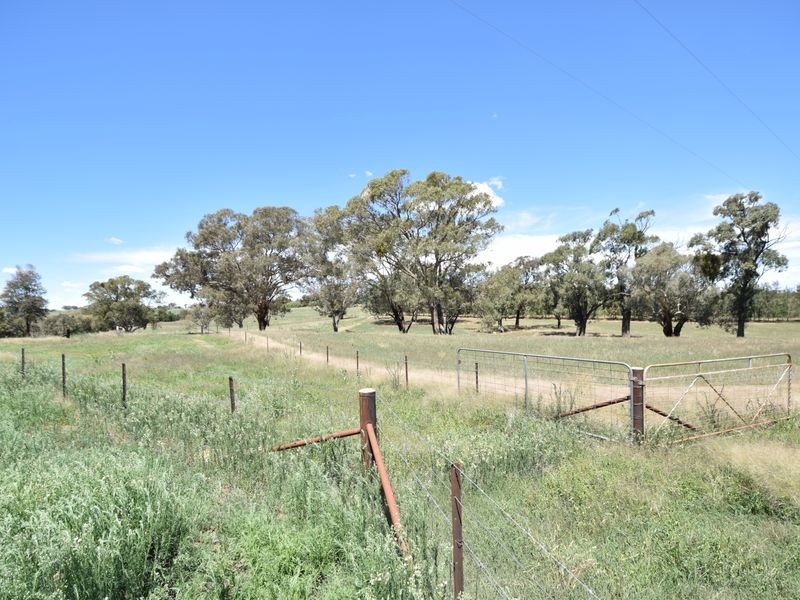 516 Woodlands Rd  Kingsvale, Young NSW 2594