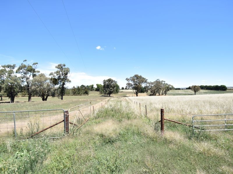 516 Woodlands Rd  Kingsvale, Young NSW 2594