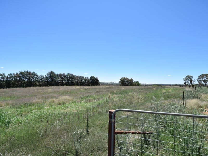 516 Woodlands Rd  Kingsvale, Young NSW 2594