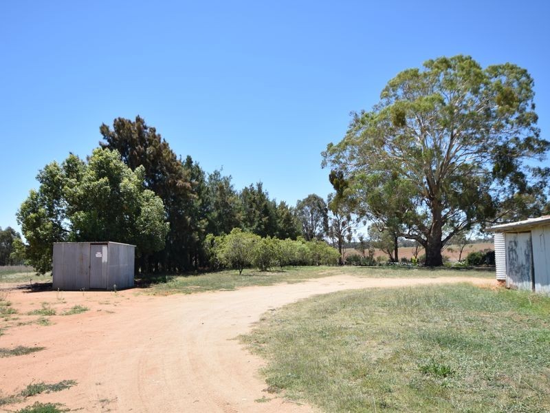 516 Woodlands Rd  Kingsvale, Young NSW 2594