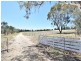 650 Monteagle Stock Route Rd Eest, Young NSW 2594