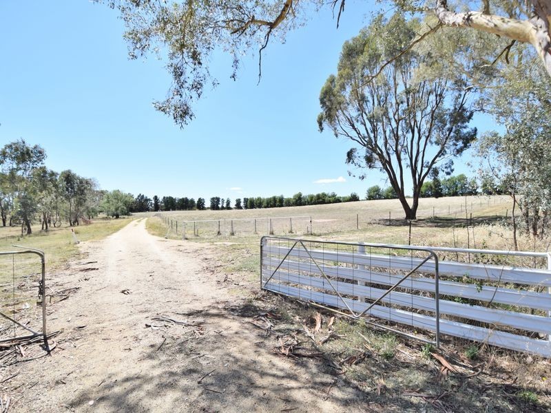 650 Monteagle Stock Route Rd Eest, Young NSW 2594