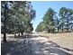 650 Monteagle Stock Route Rd Eest, Young NSW 2594