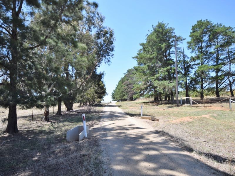 650 Monteagle Stock Route Rd Eest, Young NSW 2594