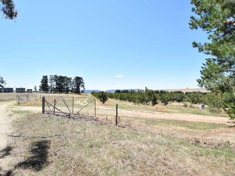 650 Monteagle Stock Route Rd Eest, Young NSW 2594