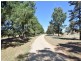 650 Monteagle Stock Route Rd Eest, Young NSW 2594