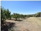 650 Monteagle Stock Route Rd Eest, Young NSW 2594