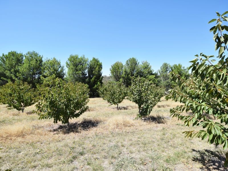 650 Monteagle Stock Route Rd Eest, Young NSW 2594