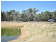 650 Monteagle Stock Route Rd Eest, Young NSW 2594