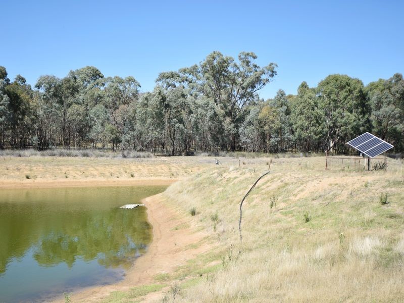 650 Monteagle Stock Route Rd Eest, Young NSW 2594