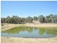 650 Monteagle Stock Route Rd Eest, Young NSW 2594