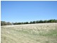 650 Monteagle Stock Route Rd Eest, Young NSW 2594
