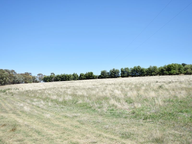 650 Monteagle Stock Route Rd Eest, Young NSW 2594