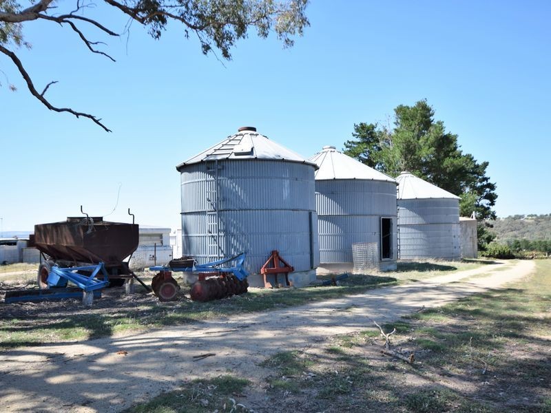 650 Monteagle Stock Route Rd Eest, Young NSW 2594