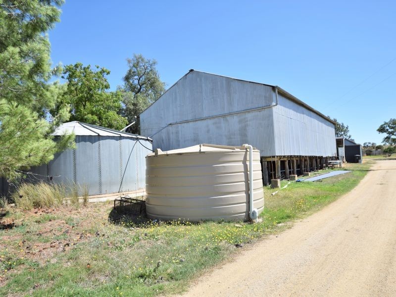 650 Monteagle Stock Route Rd Eest, Young NSW 2594