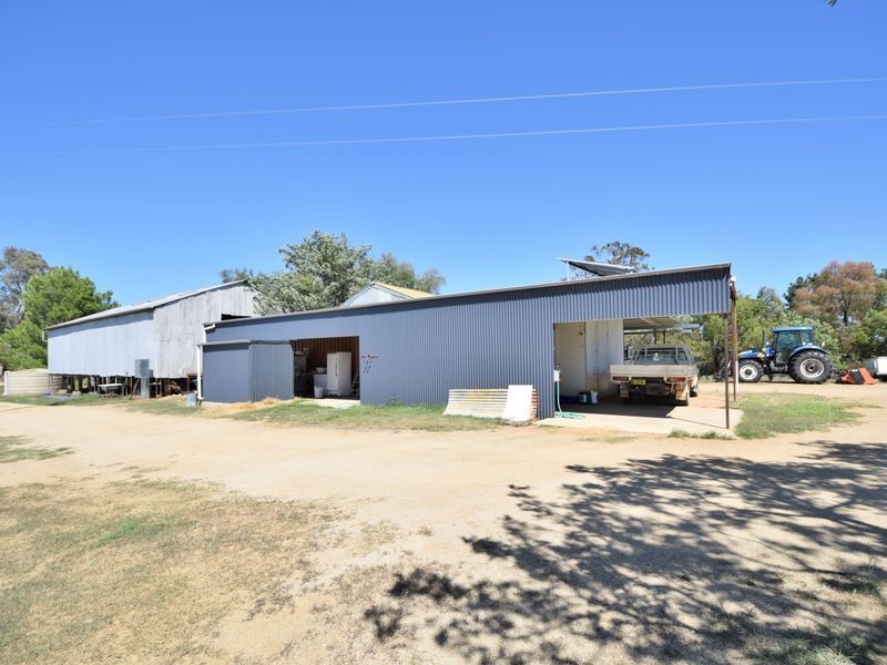 650 Monteagle Stock Route Rd Eest, Young NSW 2594