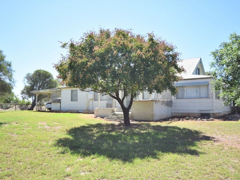 650 Monteagle Stock Route Rd Eest, Young NSW 2594