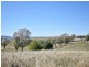 650 Monteagle Stock Route Rd Eest, Young NSW 2594