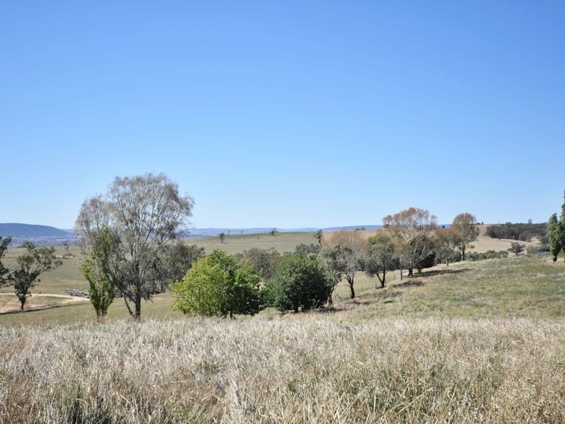 650 Monteagle Stock Route Rd Eest, Young NSW 2594