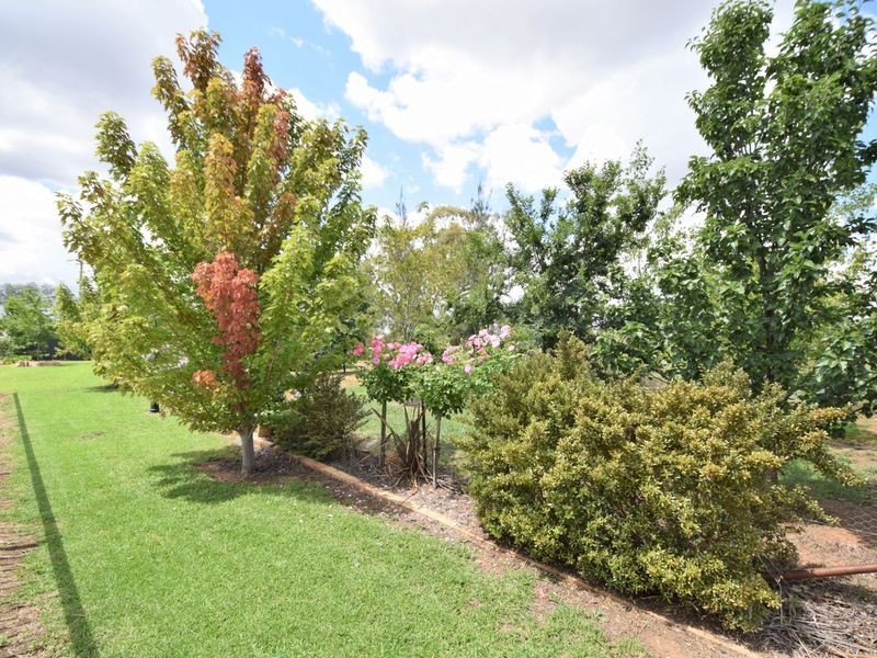 107 Wickham Lane, Young NSW 2594