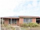 450 Spring Creek Road, Young NSW 2594