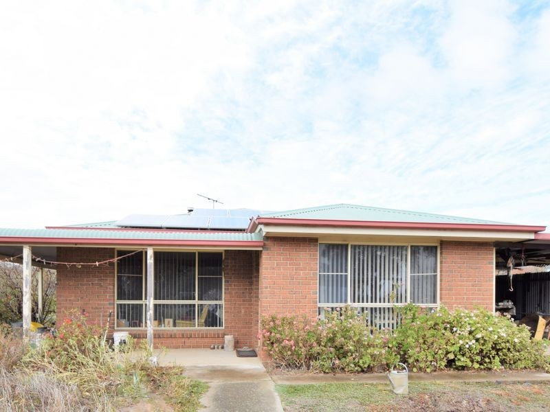 450 Spring Creek Road, Young NSW 2594