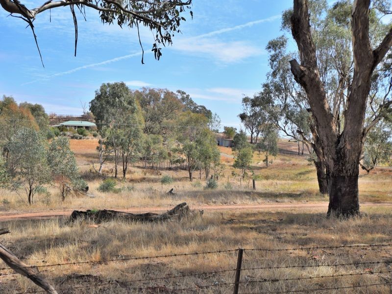 450 Spring Creek Road, Young NSW 2594