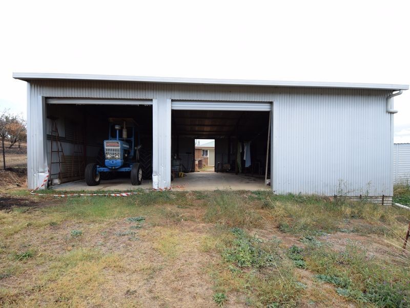 450 Spring Creek Road, Young NSW 2594