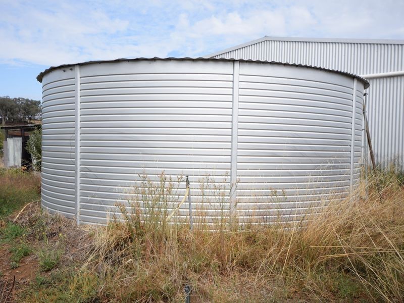 450 Spring Creek Road, Young NSW 2594