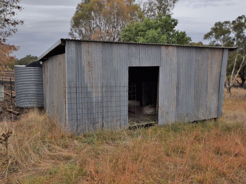 450 Spring Creek Road, Young NSW 2594