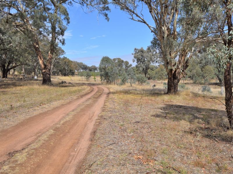 450 Spring Creek Road, Young NSW 2594