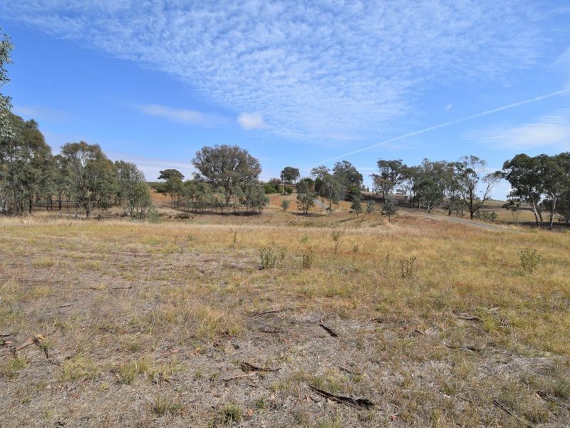 450 Spring Creek Road, Young NSW 2594