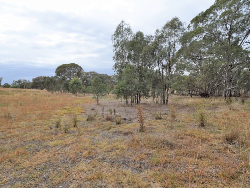 450 Spring Creek Road, Young NSW 2594