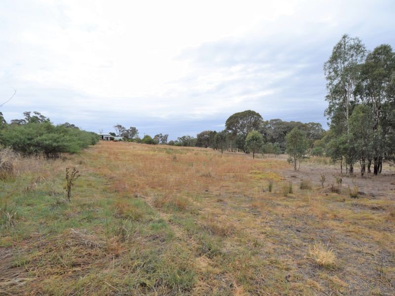 450 Spring Creek Road, Young NSW 2594