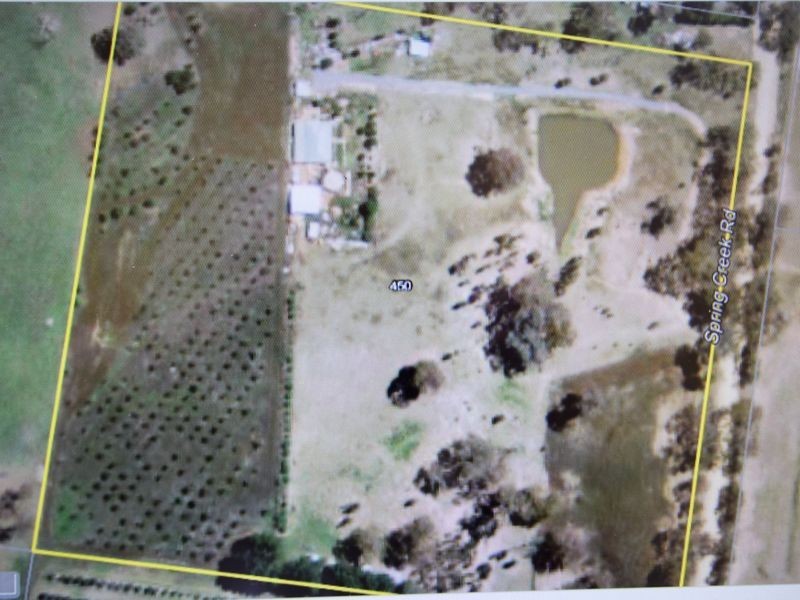 450 Spring Creek Road, Young NSW 2594