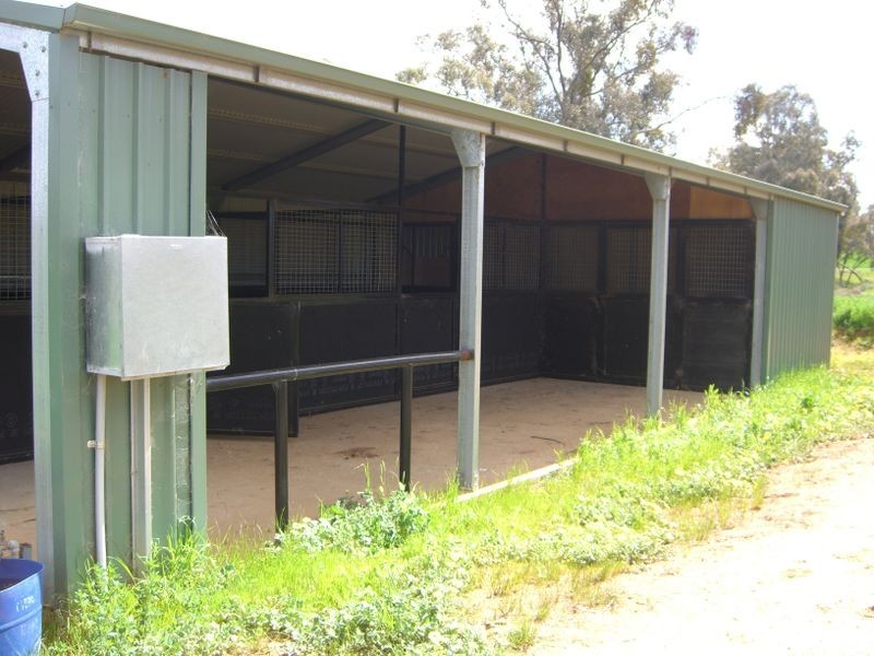 49 Isaacs Road, Young NSW 2594