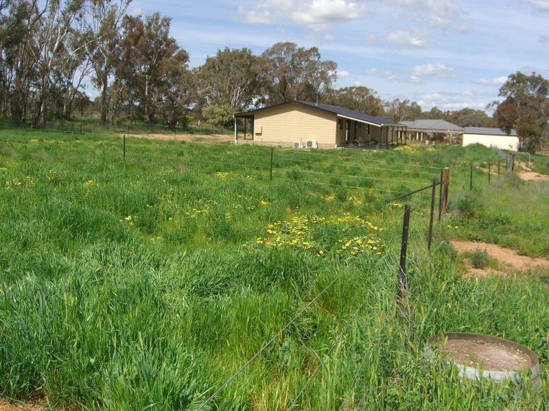 49 Isaacs Road, Young NSW 2594