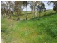 49 Isaacs Road, Young NSW 2594